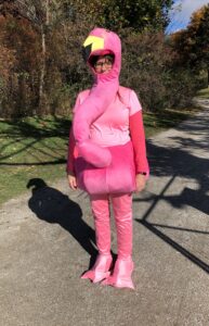 Flamingo costume